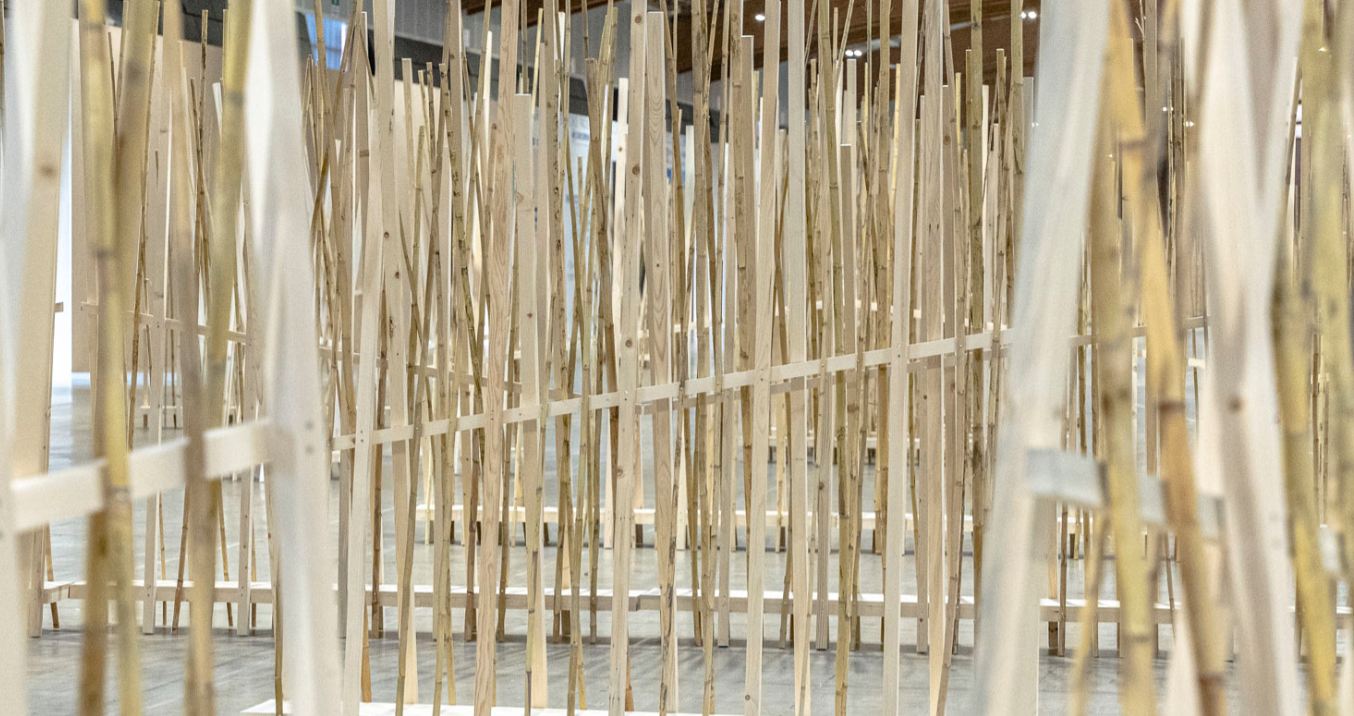 Temporary Circular Architecture11