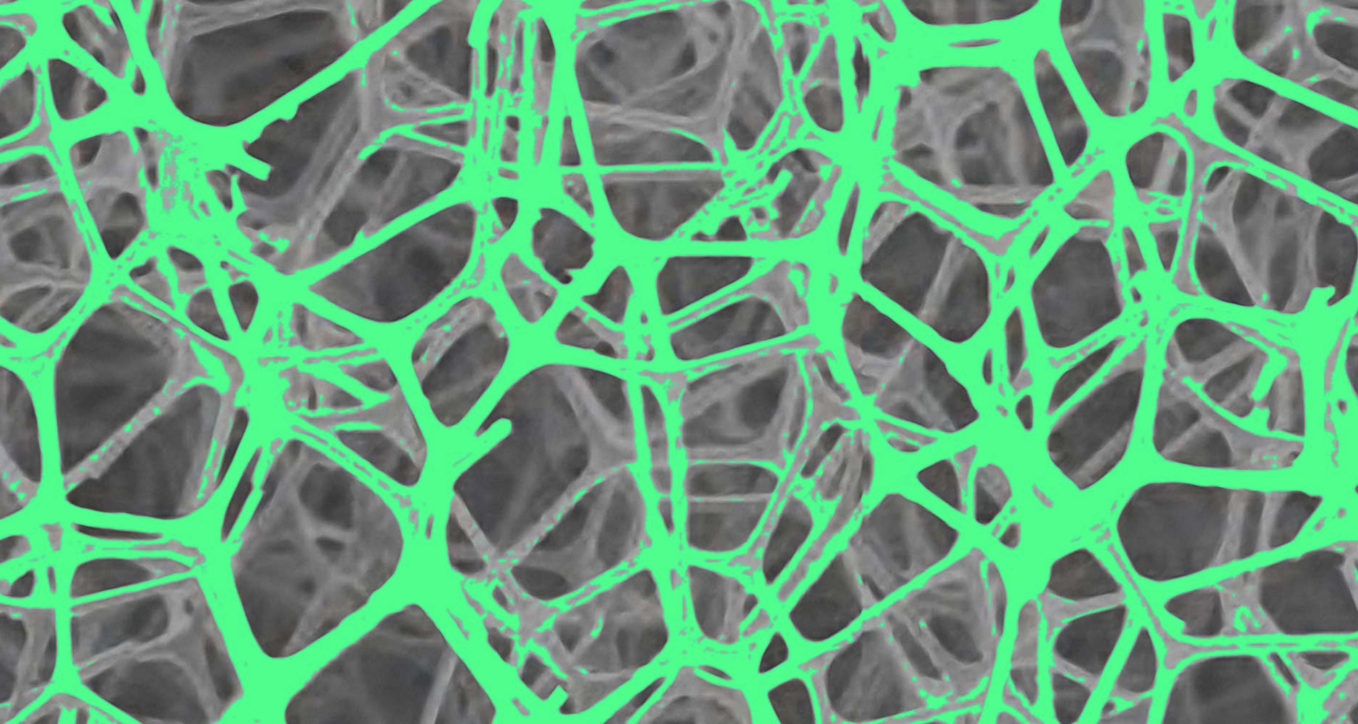 Temporary Circular Architecture8