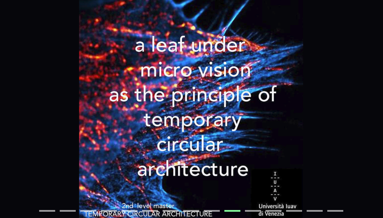 Temporary Circular Architecture9